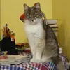 Отзыв от София Богомолова